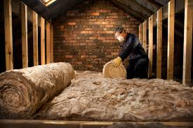 Best Eco-Friendly or Green Insulation Solutions  in Moose Wilson Road, WY